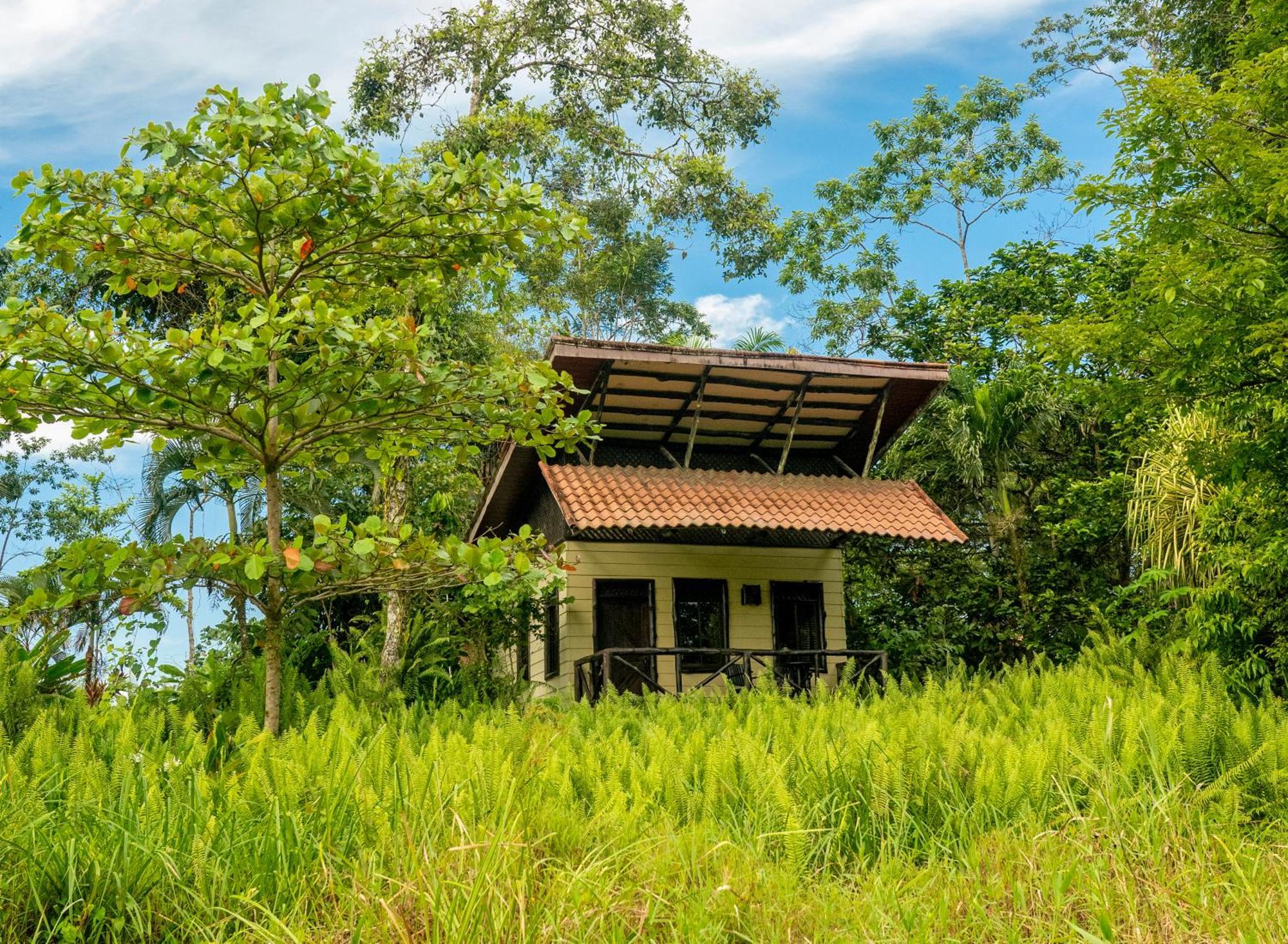 Maquenque Ecolodge Boca Tapada Exterior foto