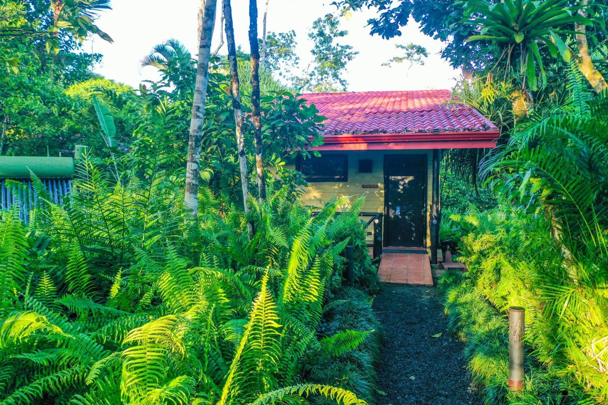 Maquenque Ecolodge Boca Tapada Habitación foto