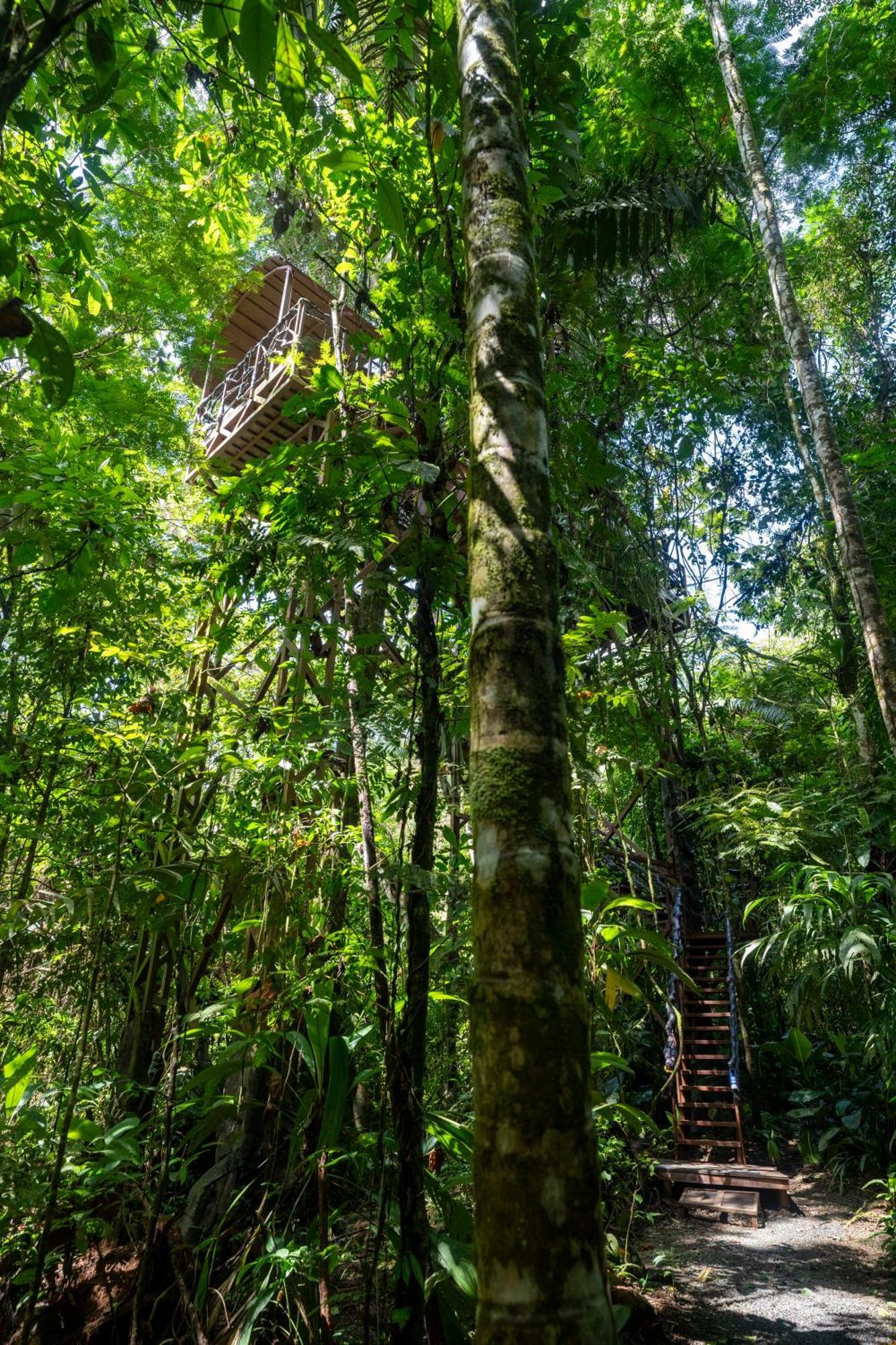 Maquenque Ecolodge Boca Tapada Exterior foto